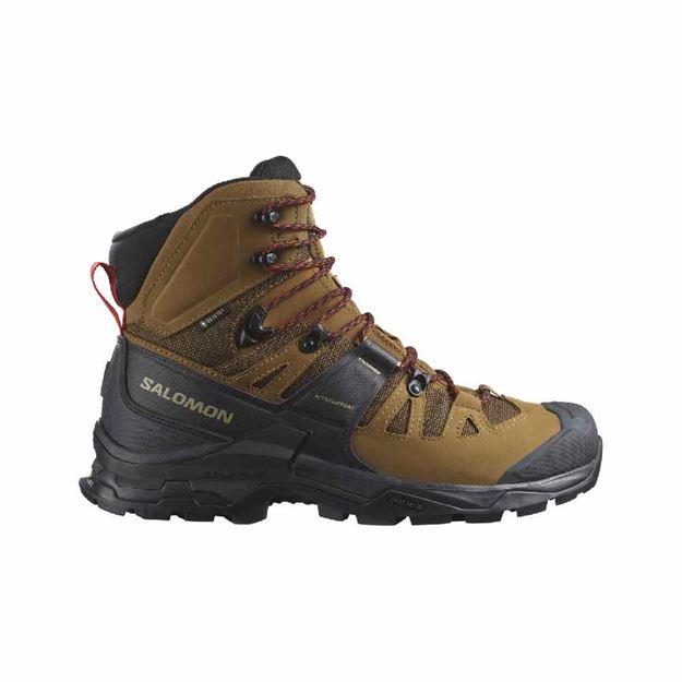 Picture of SALOMON - QUEST 4 GTX